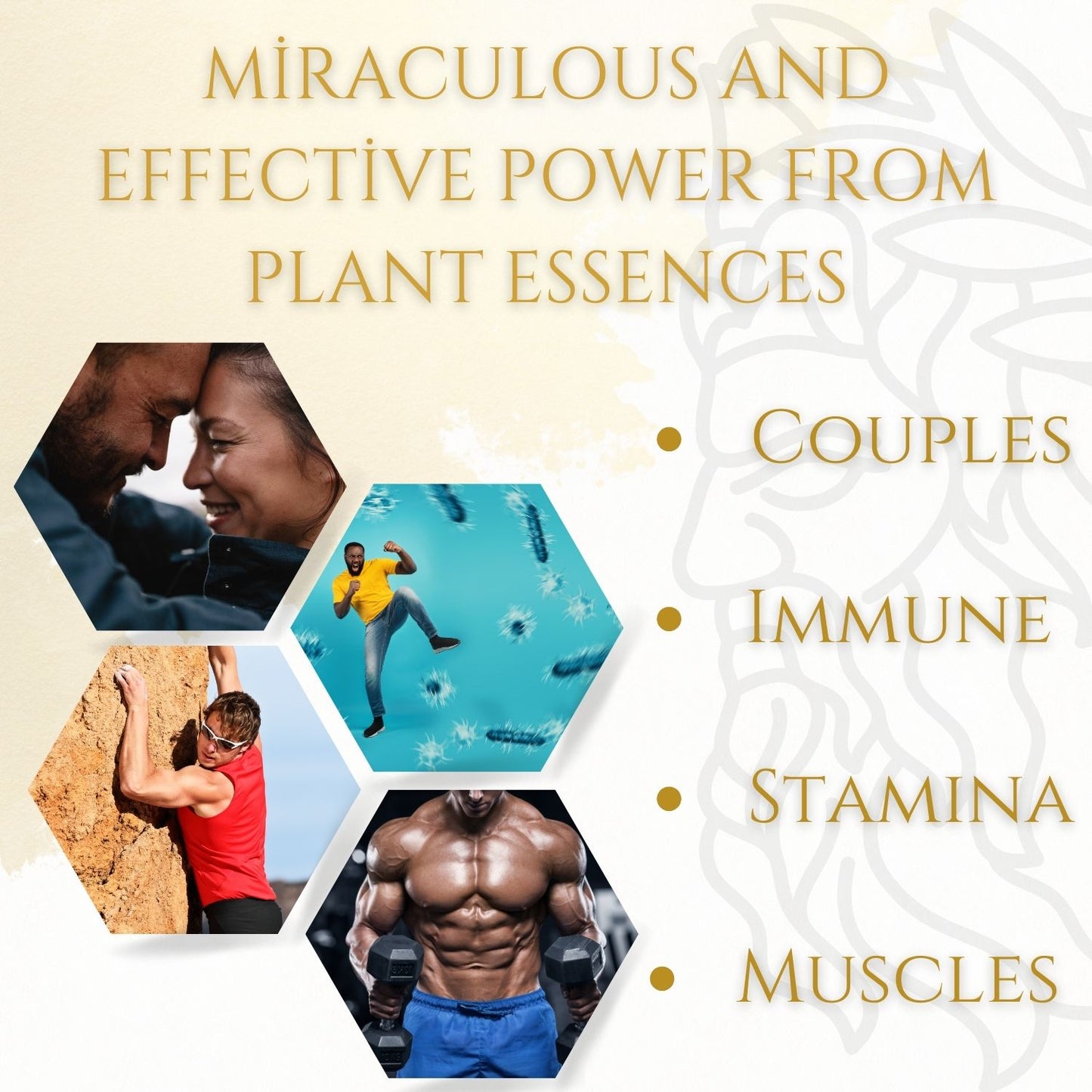 Zeus Organic Honey for Men-Extra Strength Honey for Men (Pack of 24 Sachet)